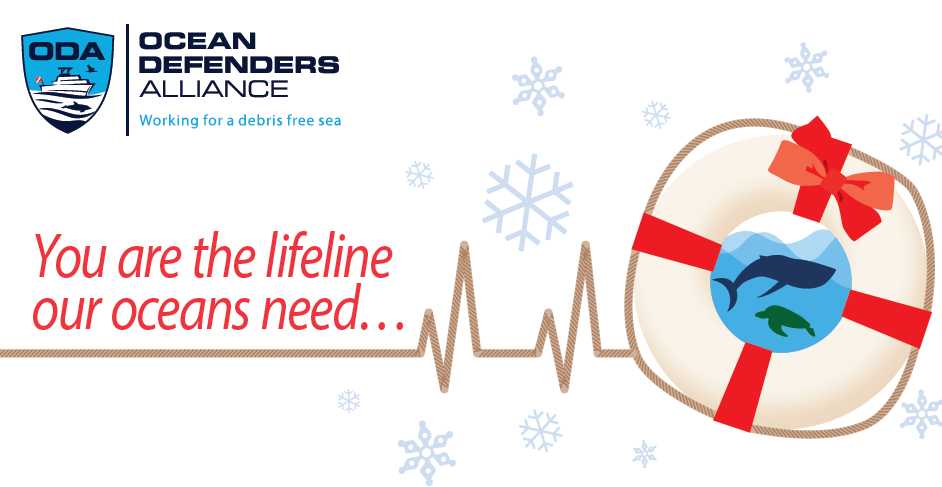 Give your holiday donation to save marine wildlife!